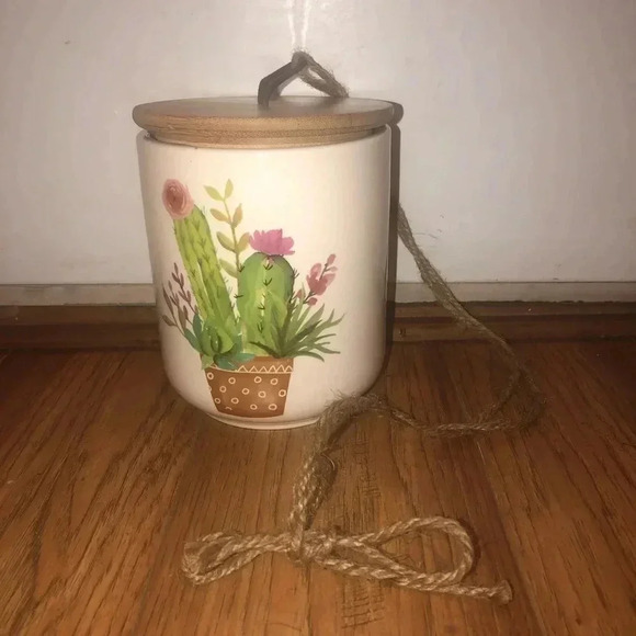 Hanging container with cactus picture - Picture 2 of 2